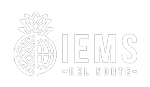 IEMS del Norte S.A.